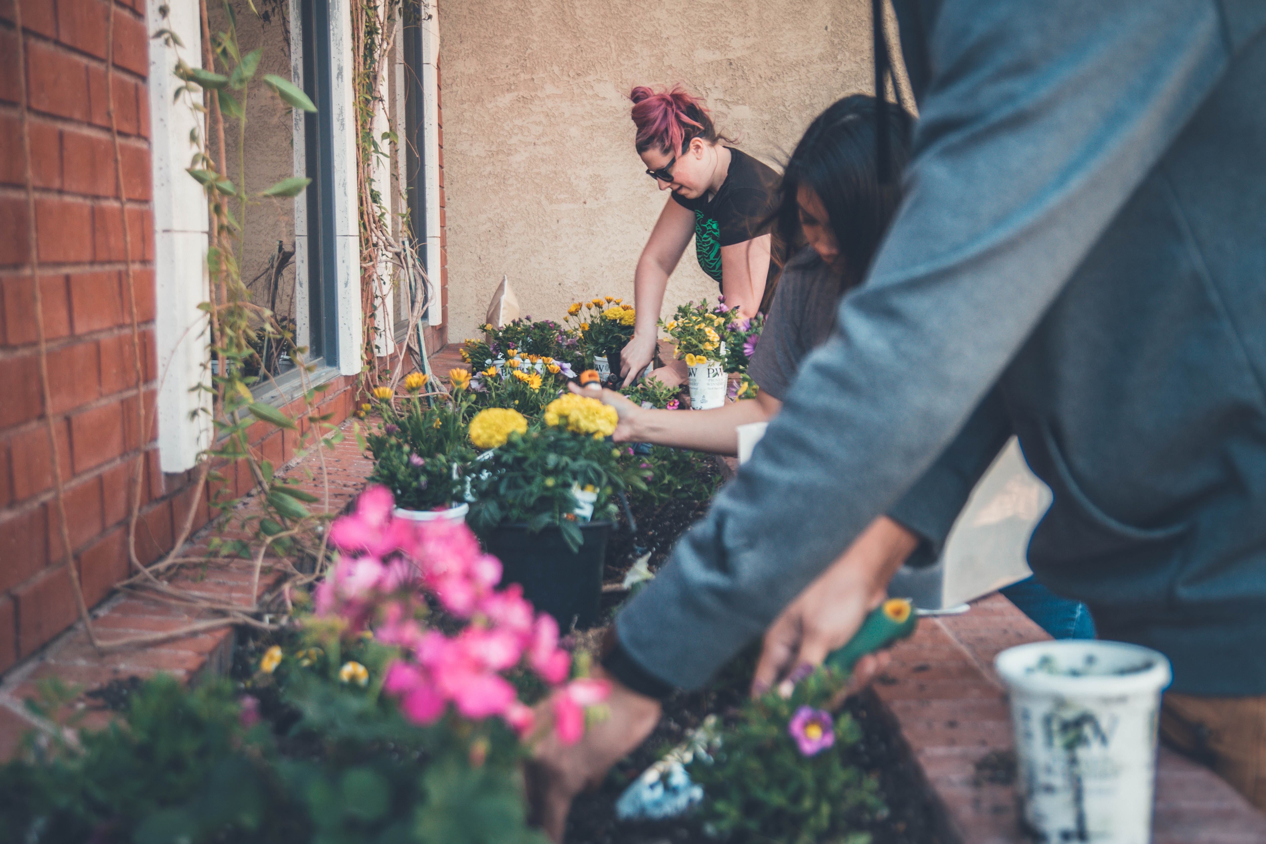 A group of people gardening together