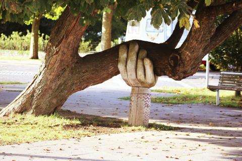 A carved wooden hand holding up a tree